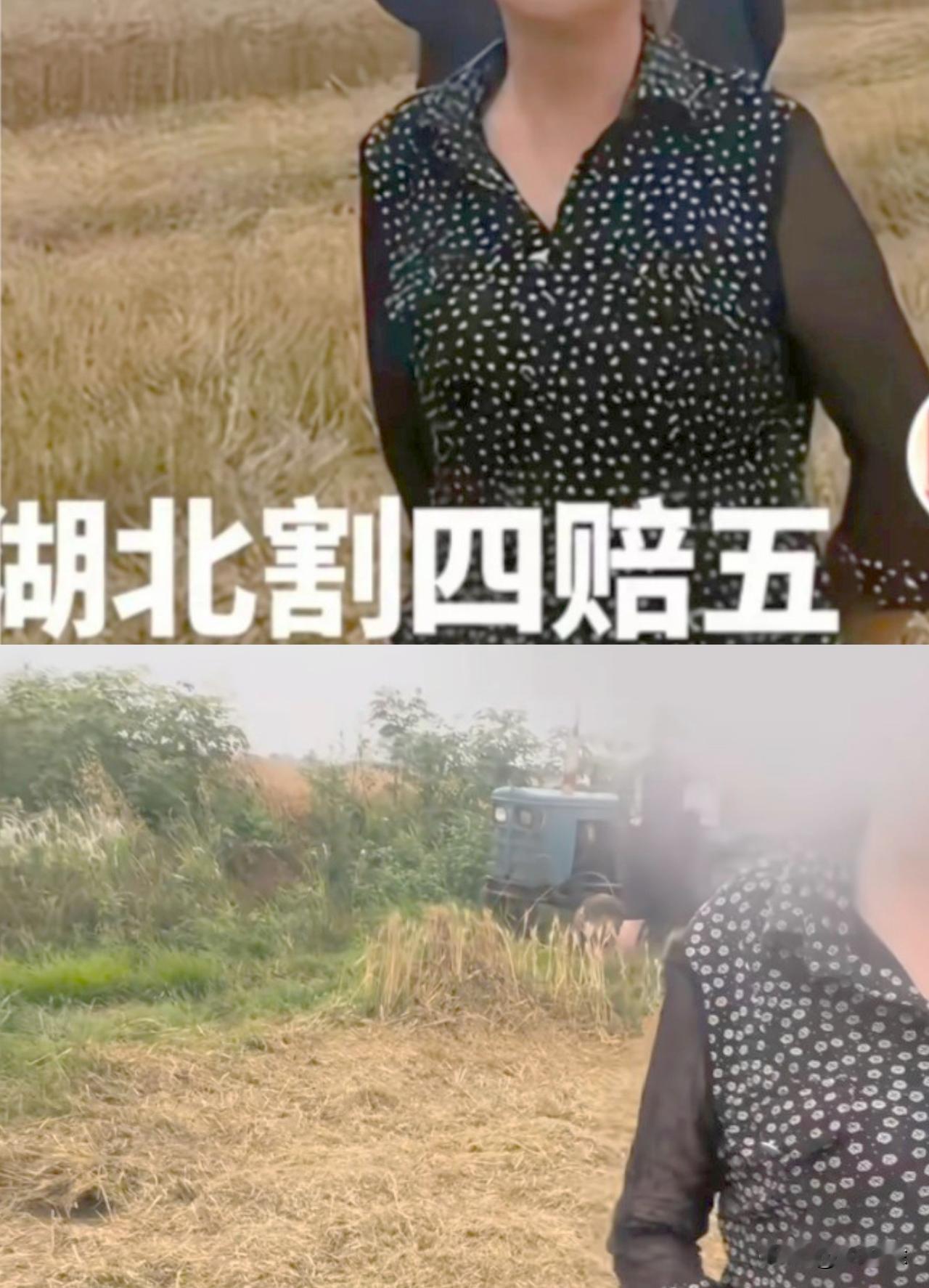 本是暖心的紧急驰援，却被割四赔五寒了心！真让人看得心里不是滋味。

那几个麦农做