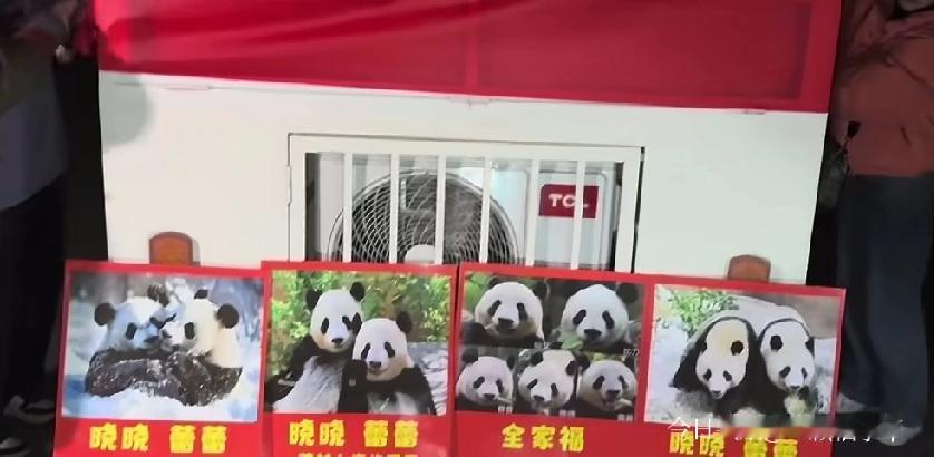 2026年1月28日凌晨，旅日大熊猫“晓晓”和“蕾蕾”终于落地成都，结束了在日本