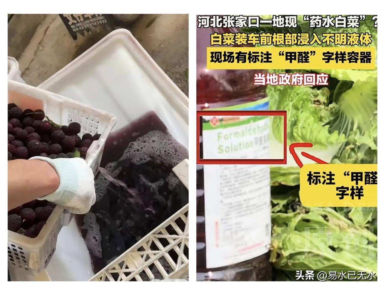 5月份爆发的福建漳州杨梅事件，沾的是防腐剂脱氢乙酸钠。现在爆出的张家口康保大白菜
