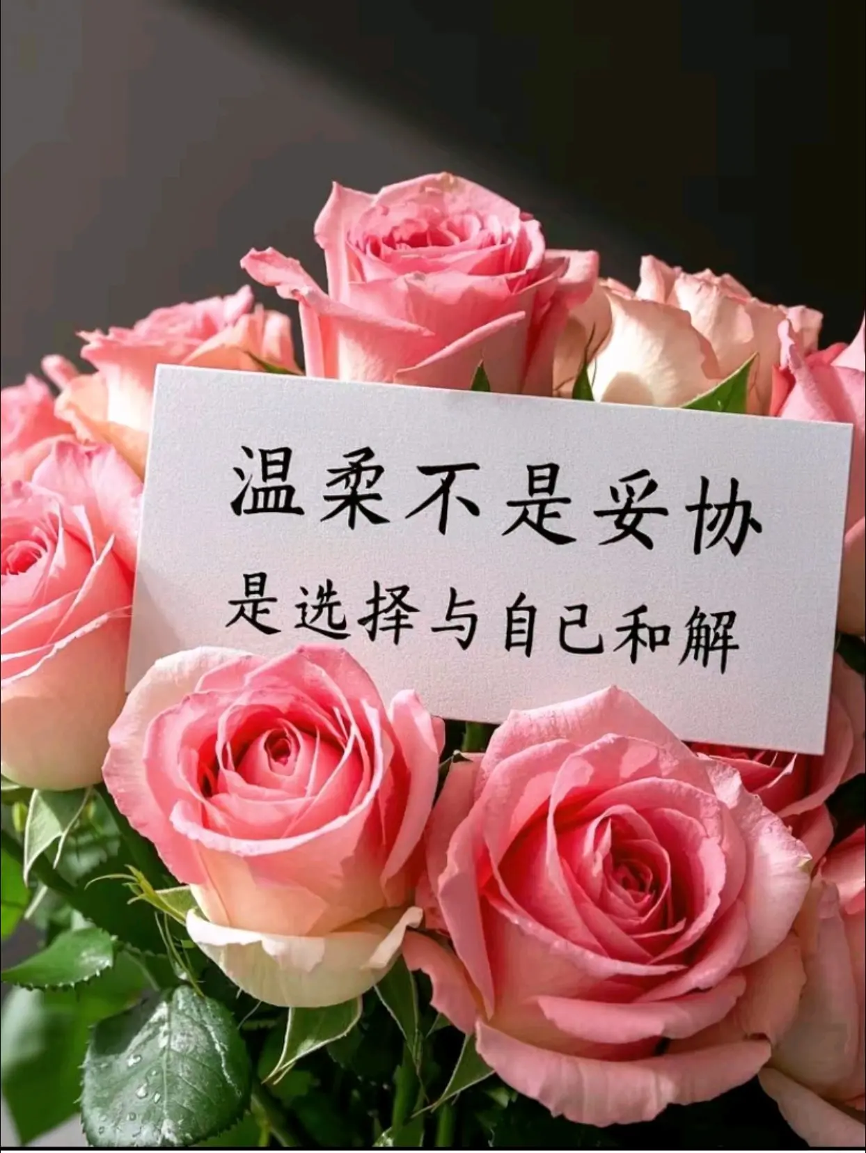 “温柔不是妥协，是见过风浪后，选择与自己和解。