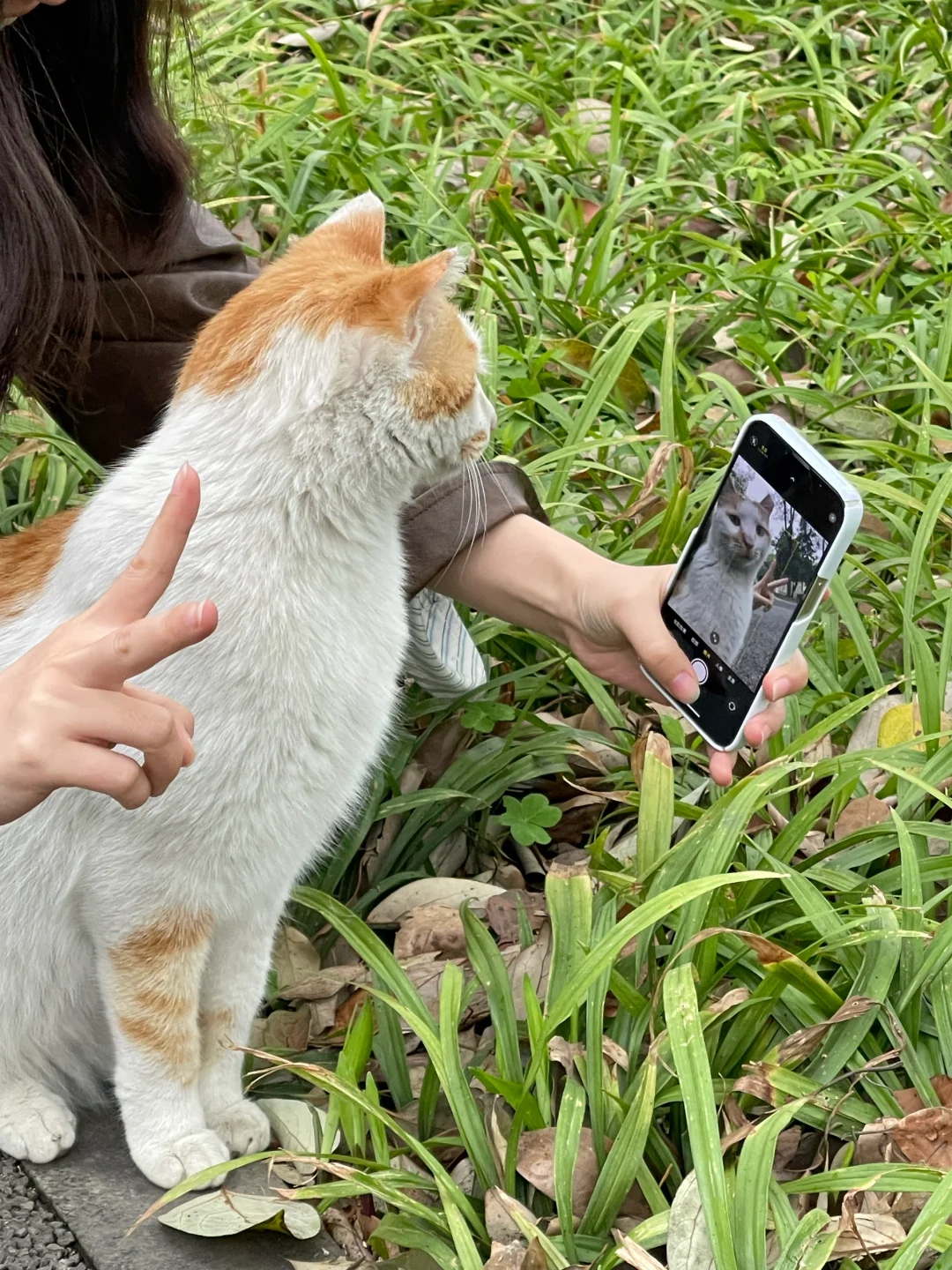熟悉的视角～芝士！
