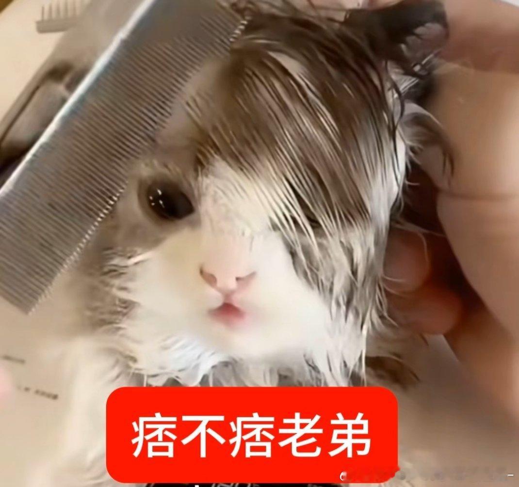明天中午抽两位铁粉宝宝帮捞帖 