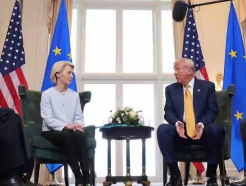 特朗普挥手打来的这记耳光，连冯德莱恩都忍无可忍了