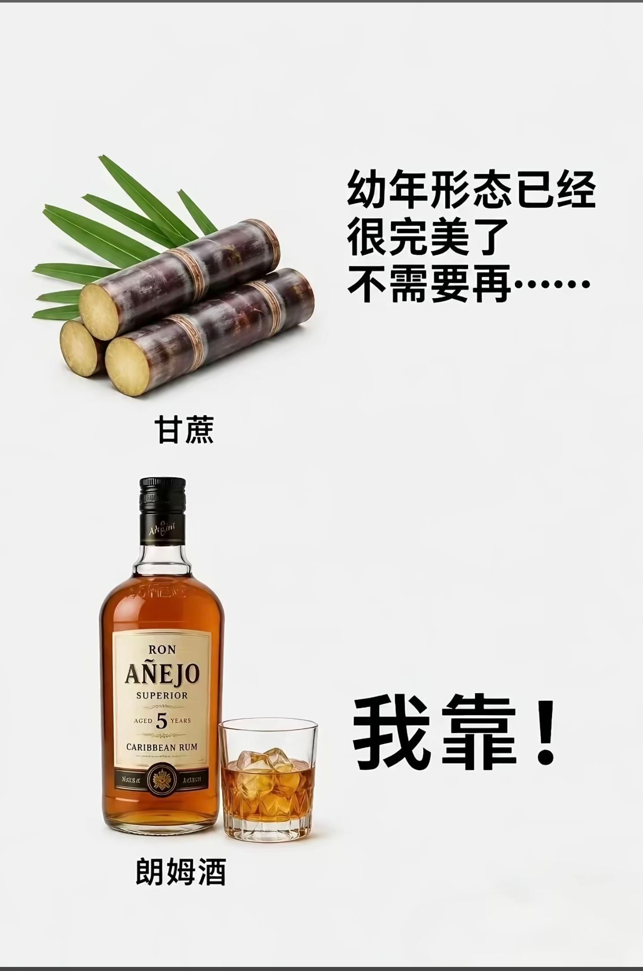 伏特加的原料居然是土豆怪不得我爱喝土豆家族满门忠烈啊 