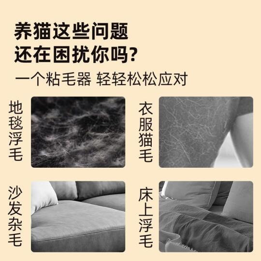 养猫这些问题还在困扰你吗？