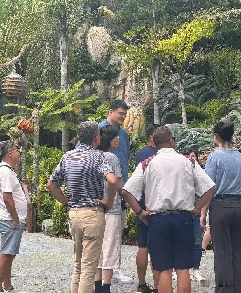 姚明带老婆和女儿前往美国奥兰多迪士尼乐园游玩，一家人有说有笑，很是开心！

姚明