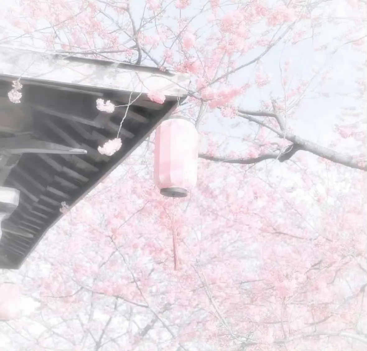 楼外鞠婧祎毒唯楼内左航毒唯《嫡嫁千金》＆《十日终焉》       ♡ ⑅ +.小