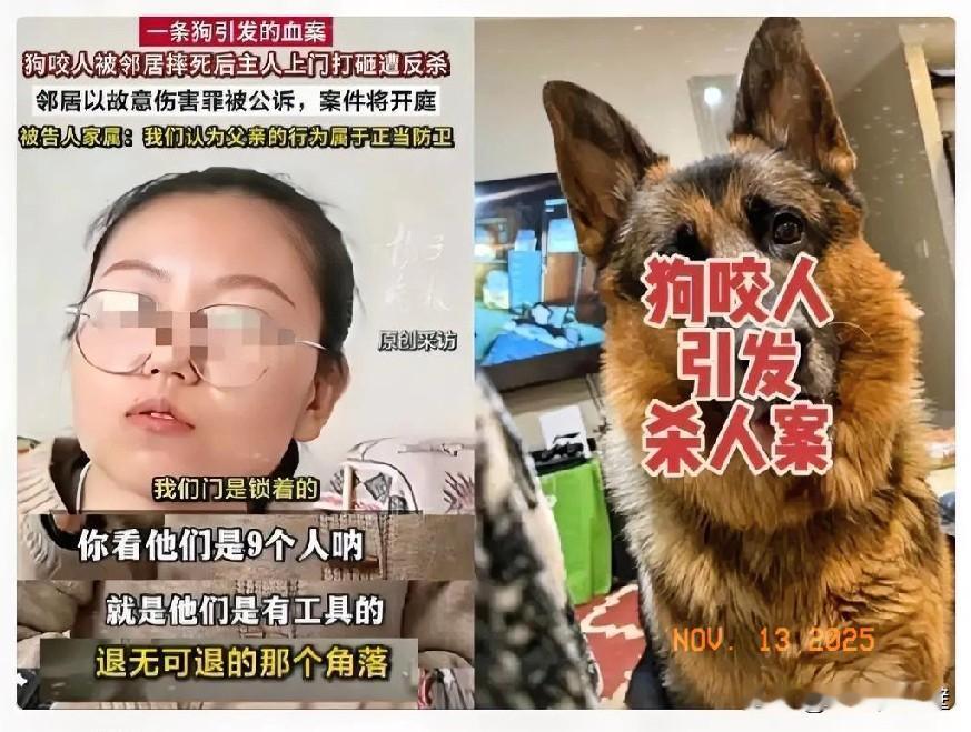 现在全网最烦恼的
不是因为狗被摔死了
也不是因为狗主人被捅死了，而是……

狗主