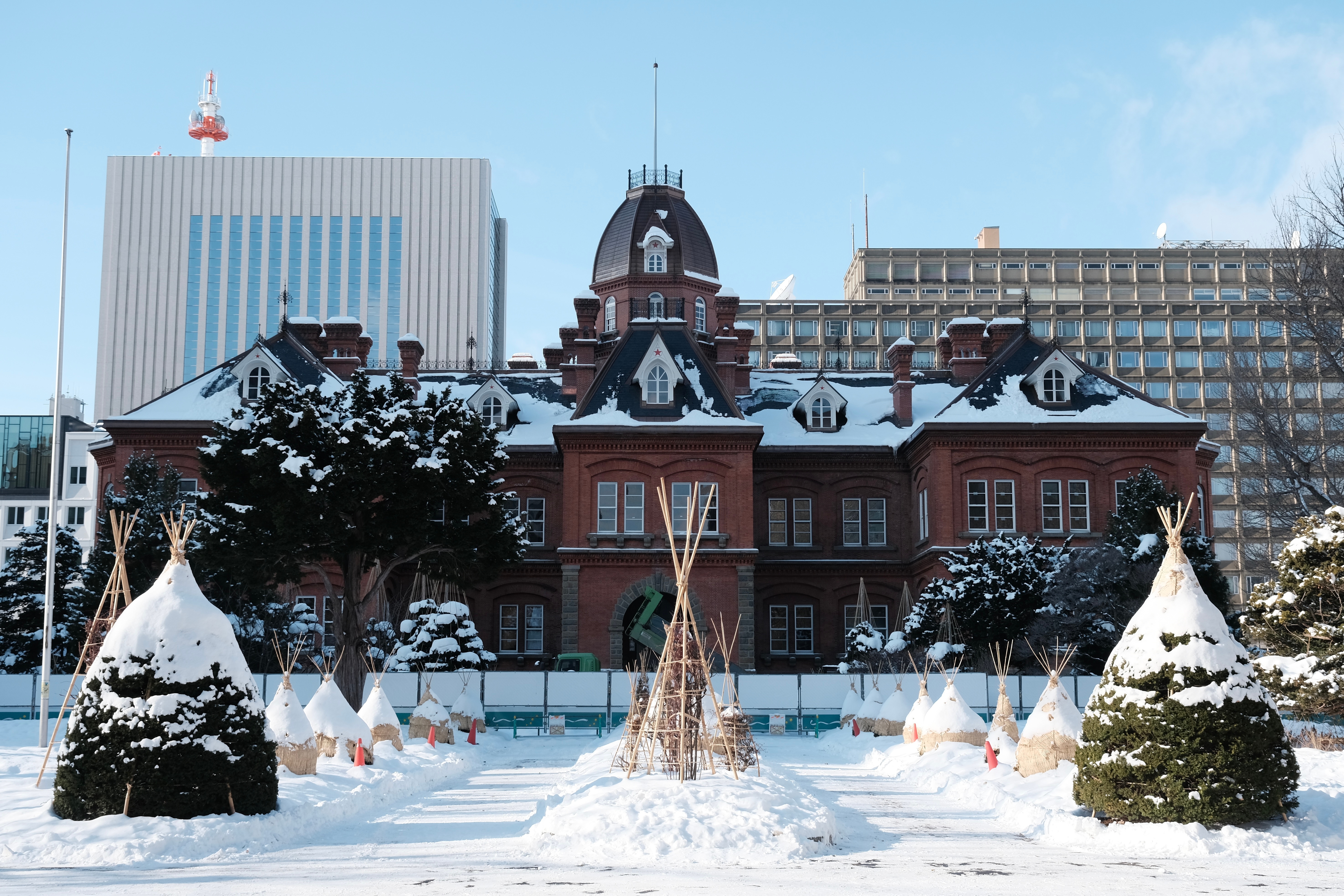 今天混搭玩札幌和小樽。札幌旧本厅舍在雪地里的红色砖楼很好看，旁边因为经常有人投喂