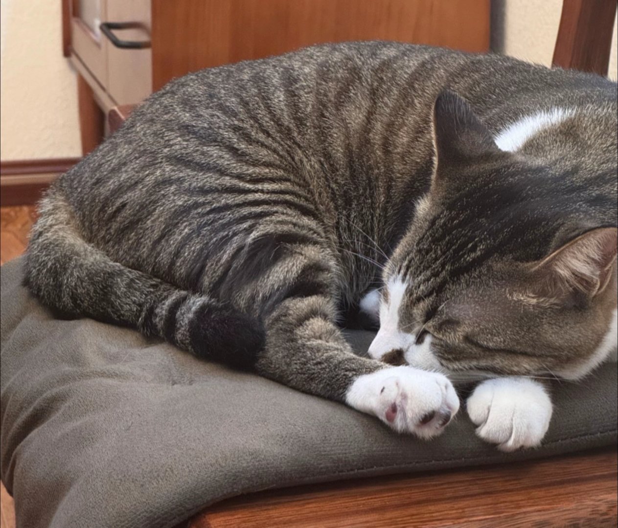 签到签到签到周一顺利结束                            