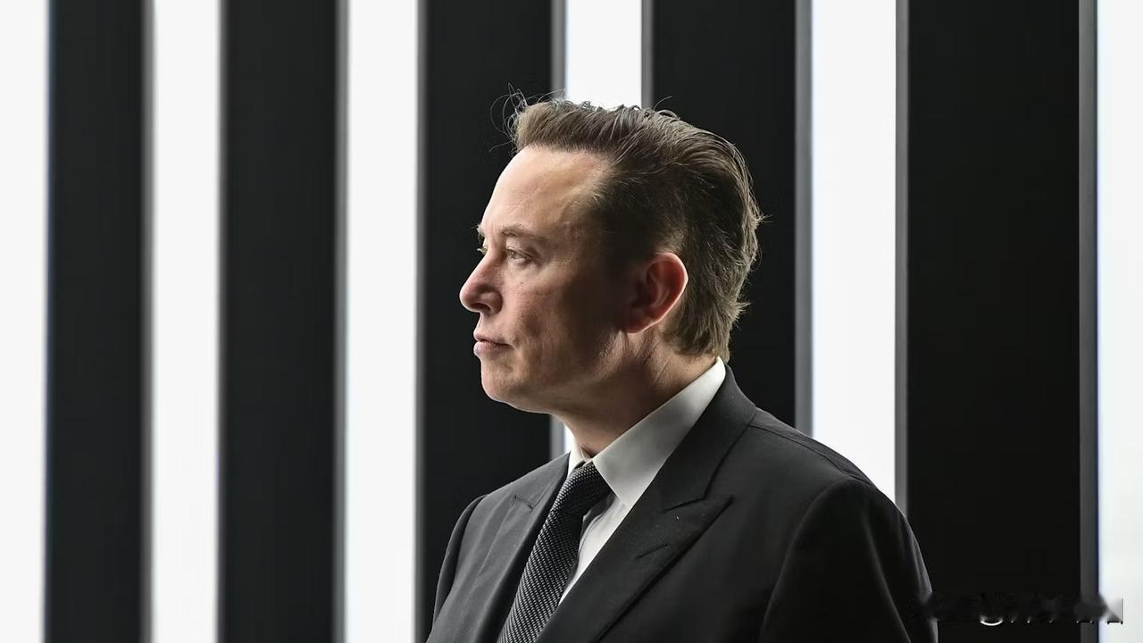 内向者擅长独立工作、深度思考和专注分析。技术研发、数据科学、金融分析、内容创作等