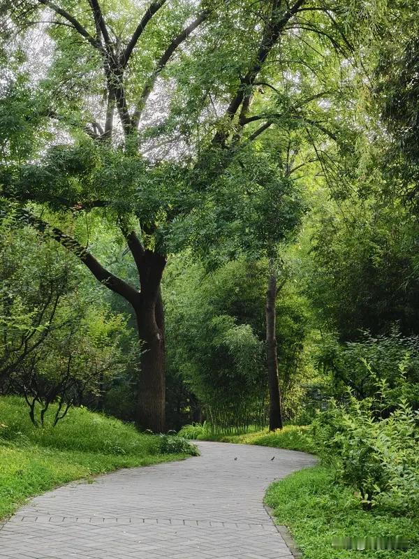 上联：小路清风过，求下联深林暮雨来