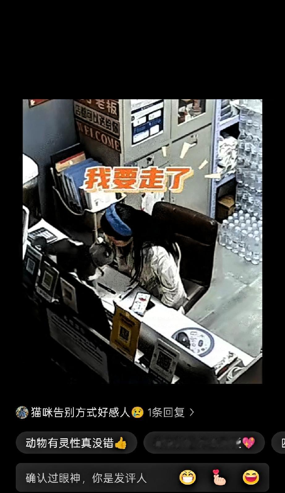山东德州，一女子这天晚上莫名的睡不着觉，便起床到店里对账。
 
养了四年的猫咪，