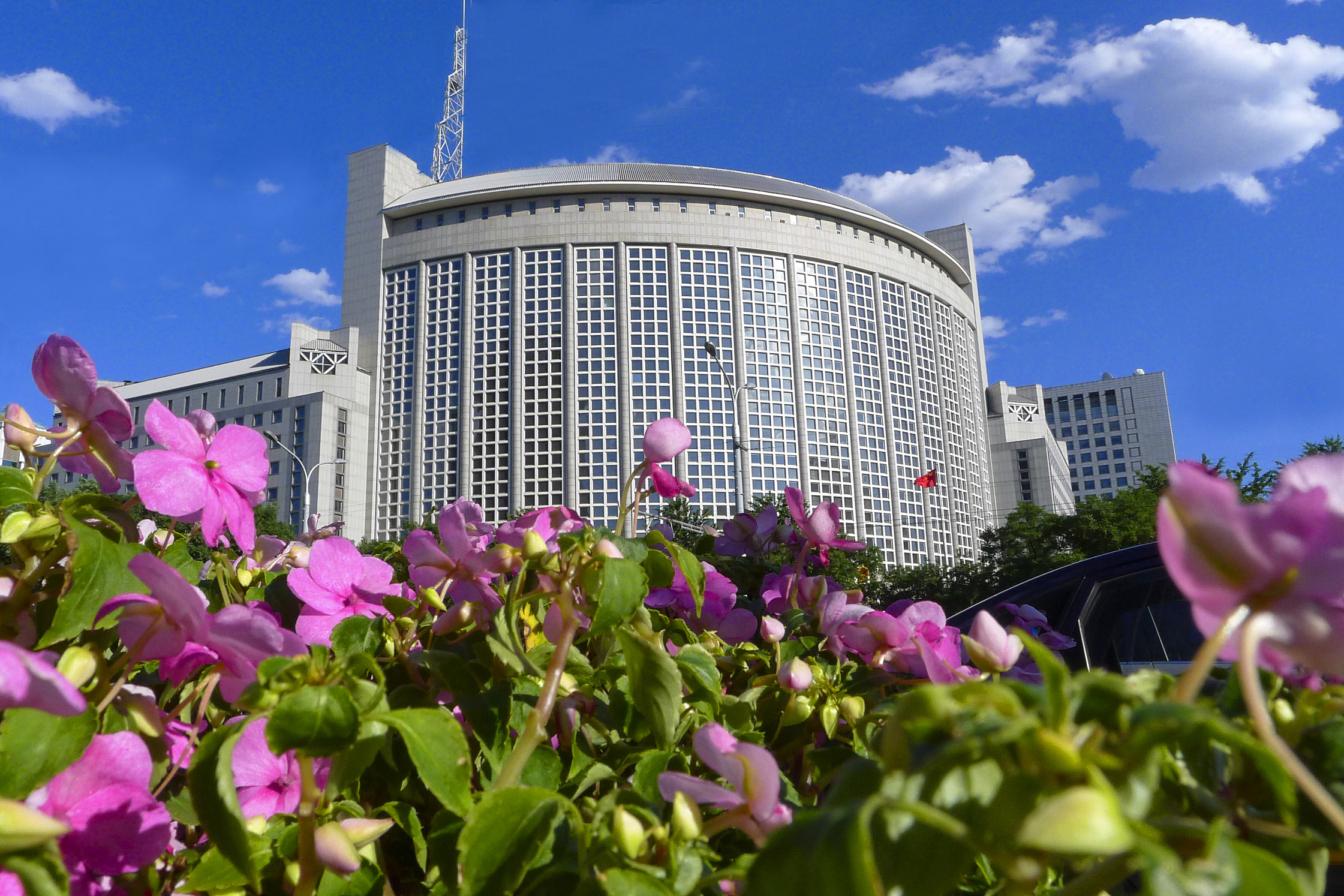 #塞舌尔总统坚定支持一个中国原则# 【塞舌尔总统：坚定支持一个中国原则】#赫米尼