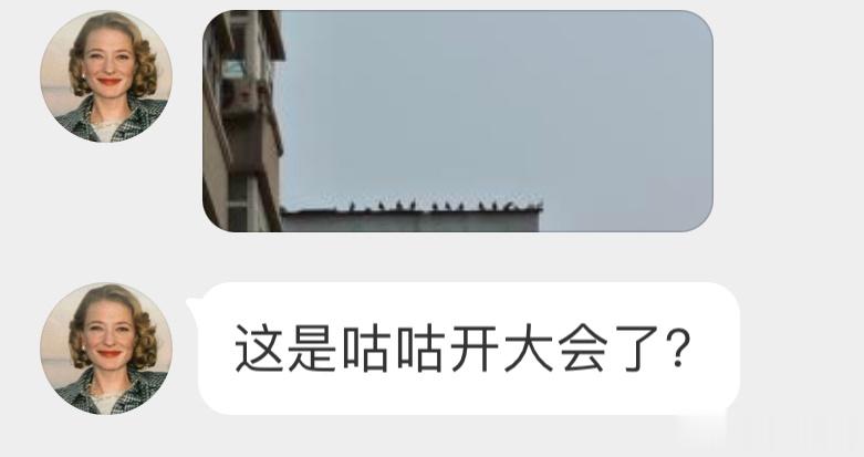 群英荟萃  咕咕开会！[开学季] ​​​