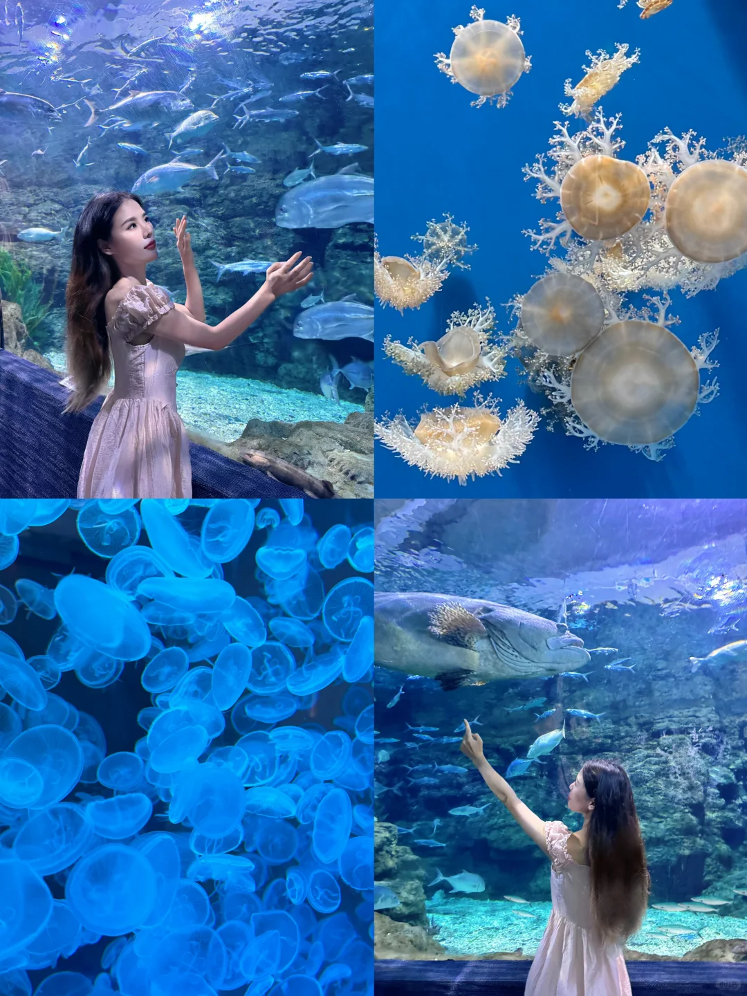 郑州海洋馆，去了，后悔了