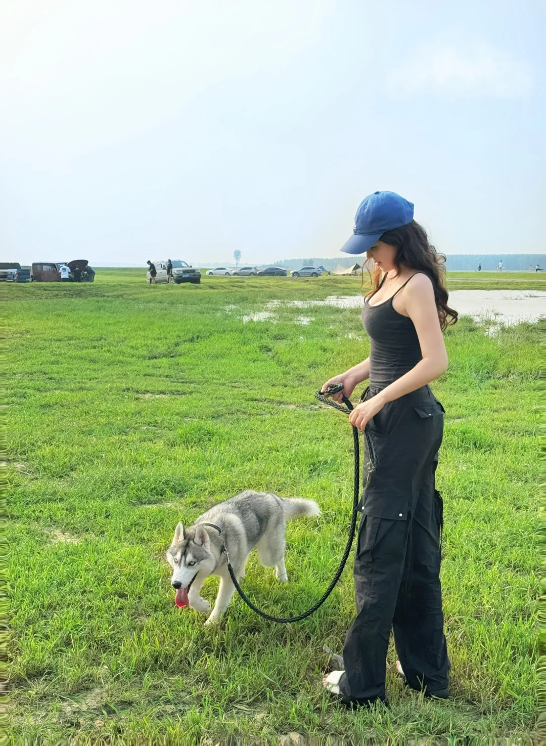 谁懂！哈士奇真是时尚单品🐺