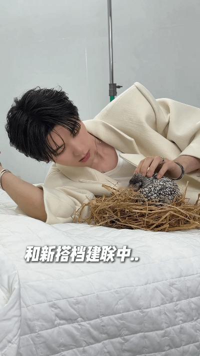 周翊然拍杂志逗小鸡周翊然薄肌身材周翊然拍摄花絮里的反差魅力。穿着无袖背心，少年初