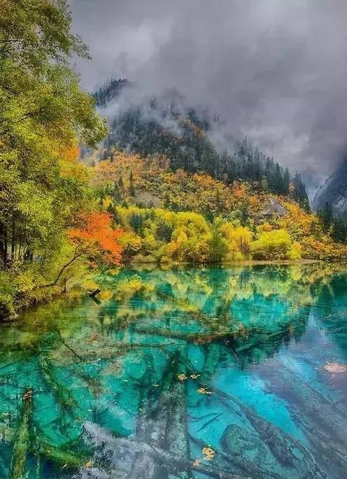 九寨沟，你说最美的地方？
这里的美，不是吹的，是实打实的自然恩赐。每一汪湖水，每