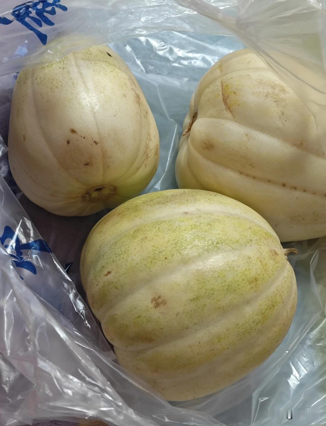 内蒙的瓜果，真的封神了！🍈

话说内蒙的瓜果，真的是好吃！！！最绝的是那种“沙