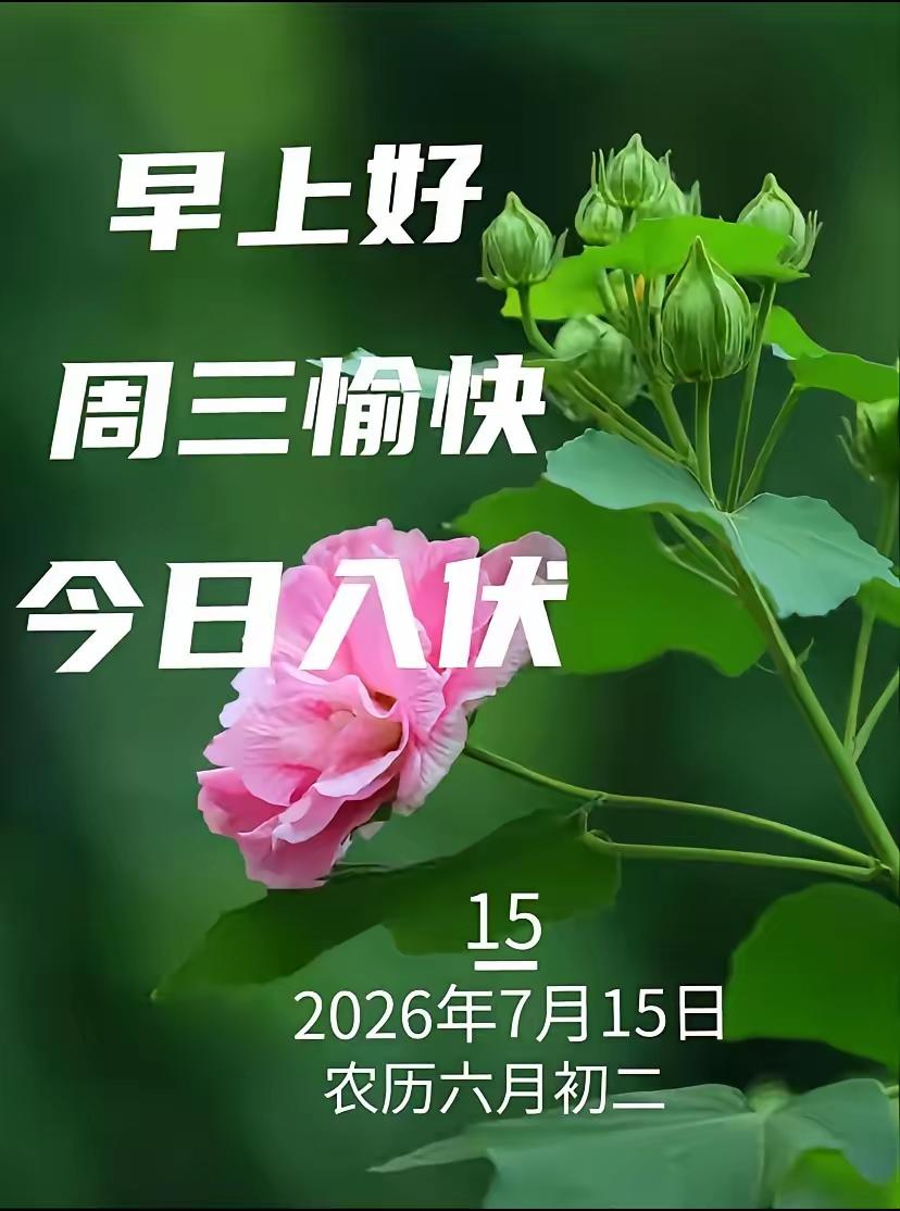 7.15日🌹🍎🍎早上好😄♥️🌹
今天入伏，愿我们：伏季无忧、平安健康、
