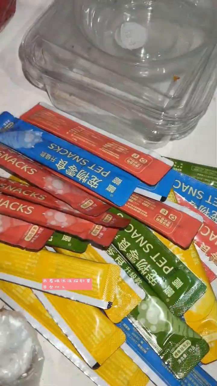 喂流浪猫要带些什么？
来看喂流浪猫都要带些什么？打包好的猫粮、妙鲜包，还有小猫咪