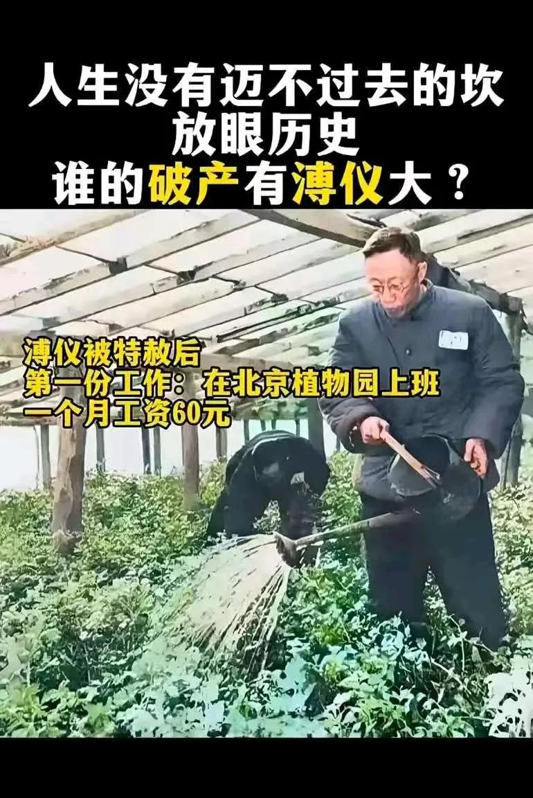 溥仪被特赦后，第一份工作：在北京植物园上班，一个月工资 60 元
溥仪这辈子最幸