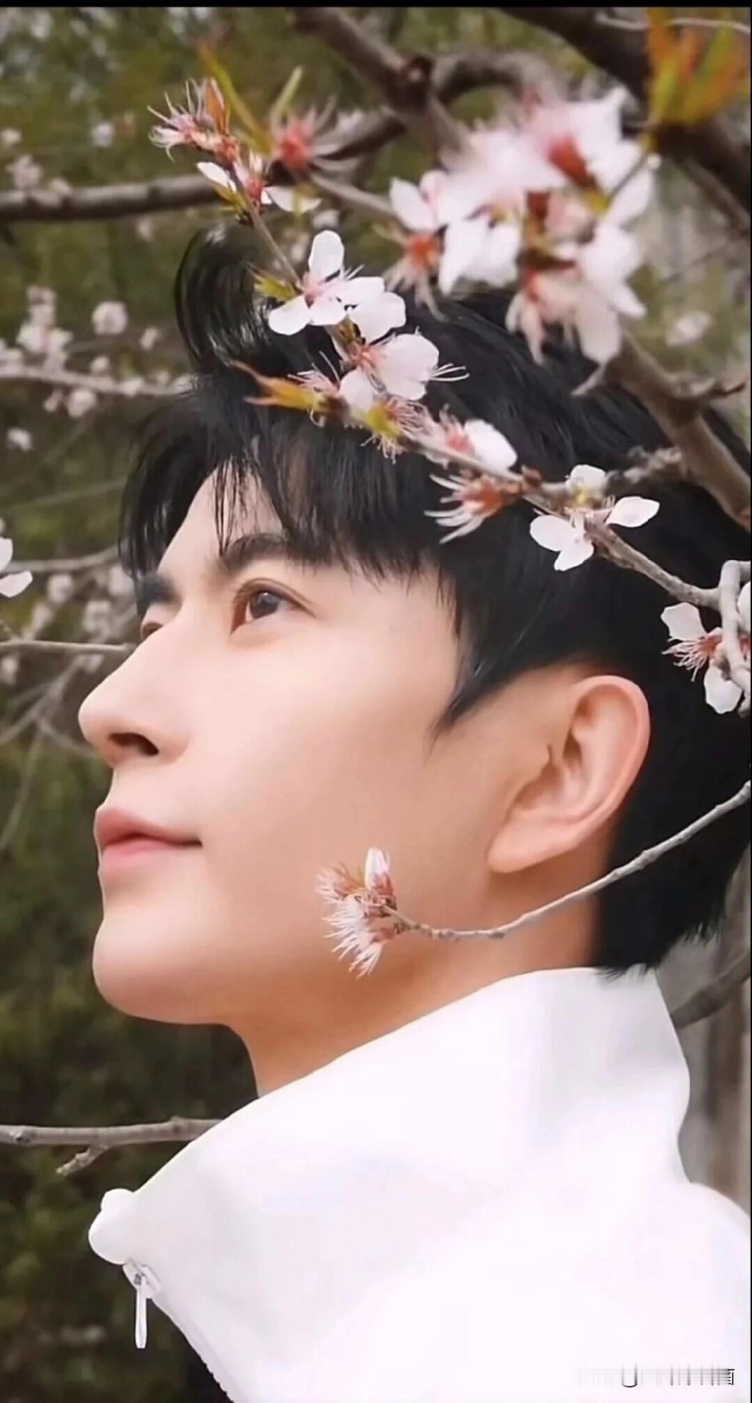 又是人间四月天，一半是明媚春光，一半藏着思念愁绪。
走在四月街头，阳光暖得恰到好