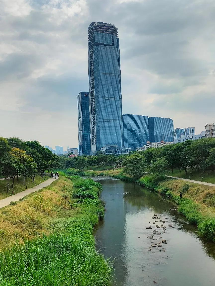 又路过深圳沙河。
与其说它是“河”
不如说是一条小溪流，小水沟。
溪水缓缓流过