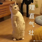 弯月爱品科技