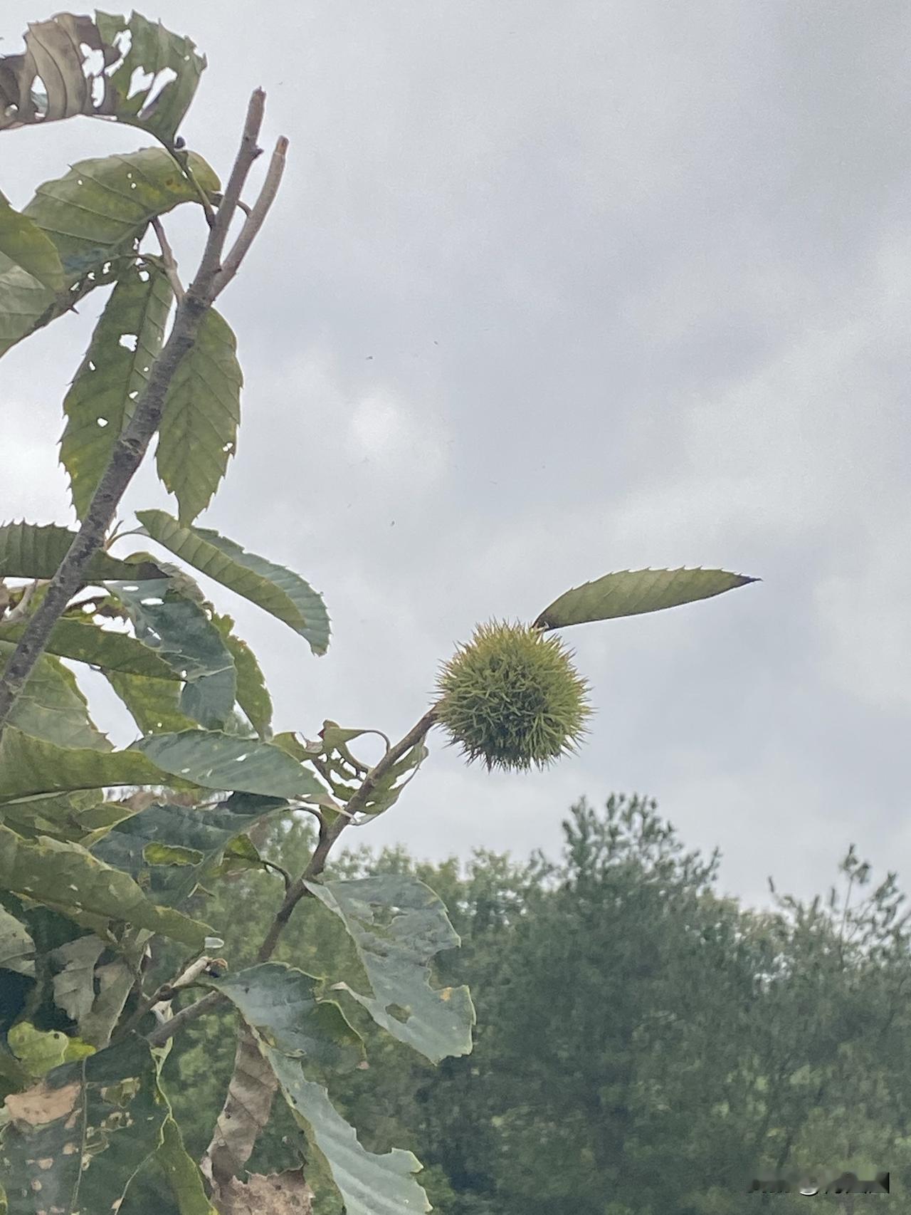 在老家没事的时候到处转转，走走小时候走过的路，呼吸着长大的那片天的空气，心情就会