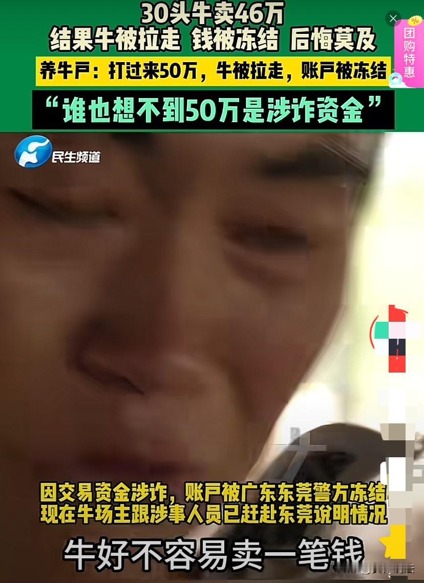 河南开封，一养牛户卖了30头牛，对方打过来50万元，说多退少补。养牛户让对方拉走