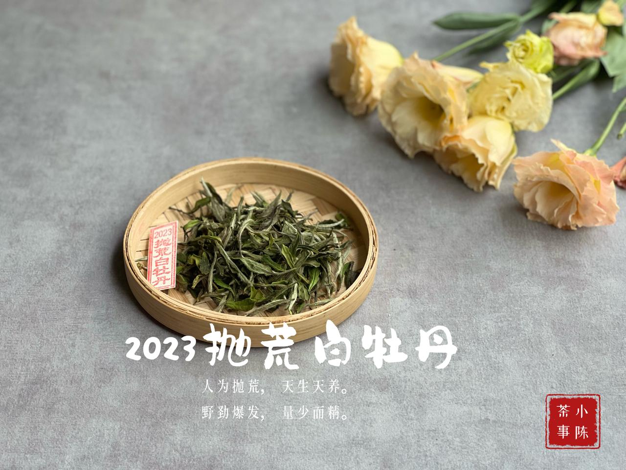 受潮的白茶，能晒晒太阳“回春”吗？
前几天就有位茶友来问：
“1年前买的白牡丹，