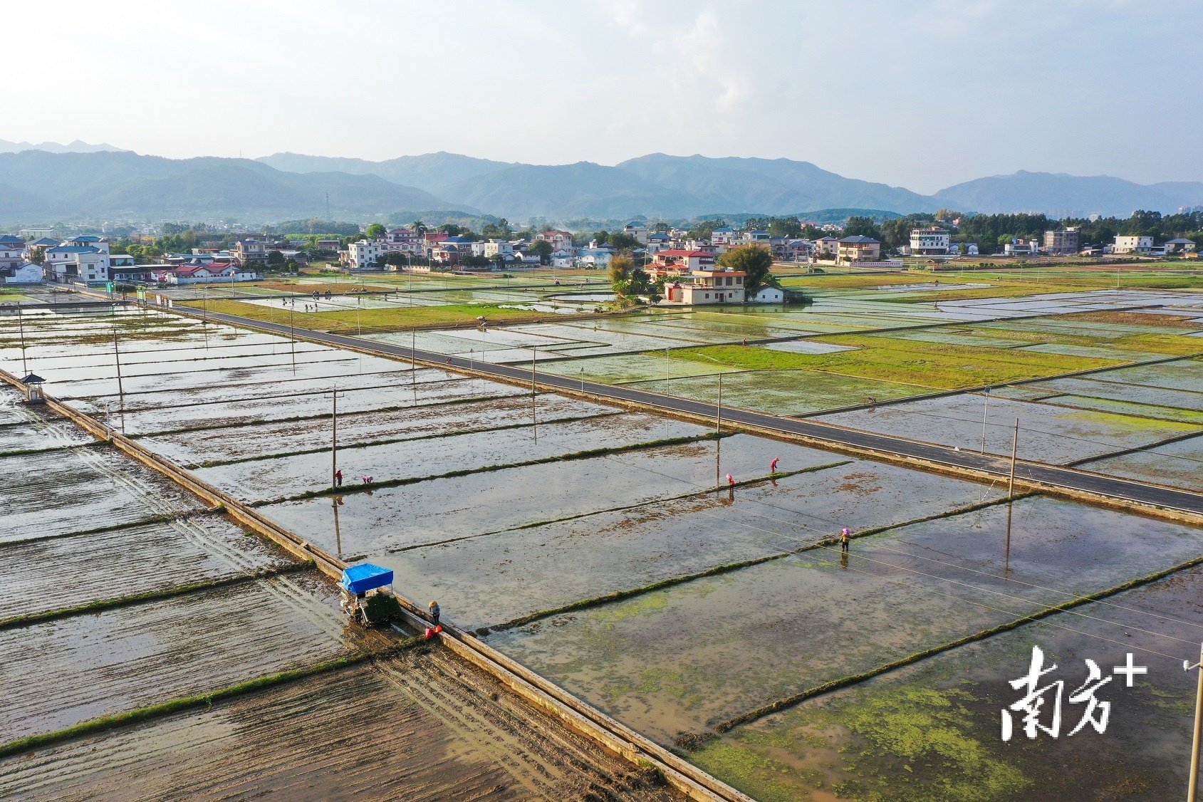 图集|沃野春意浓 “耕”新正当时