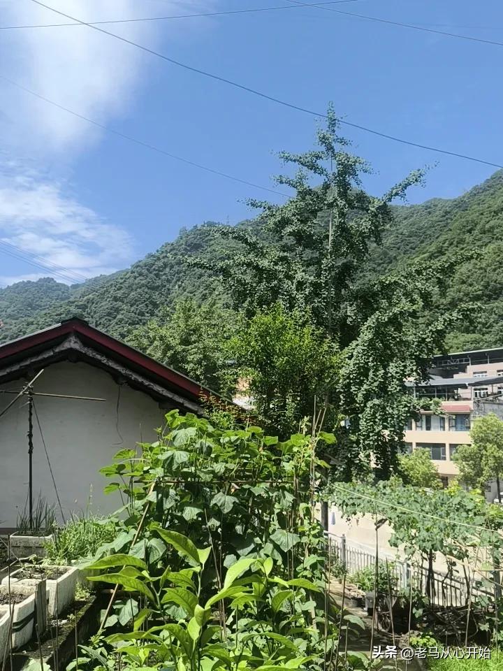 有的东西，看起来是坏事，很可能是在救你。

2019年的一天，我和人喝完酒后挪车