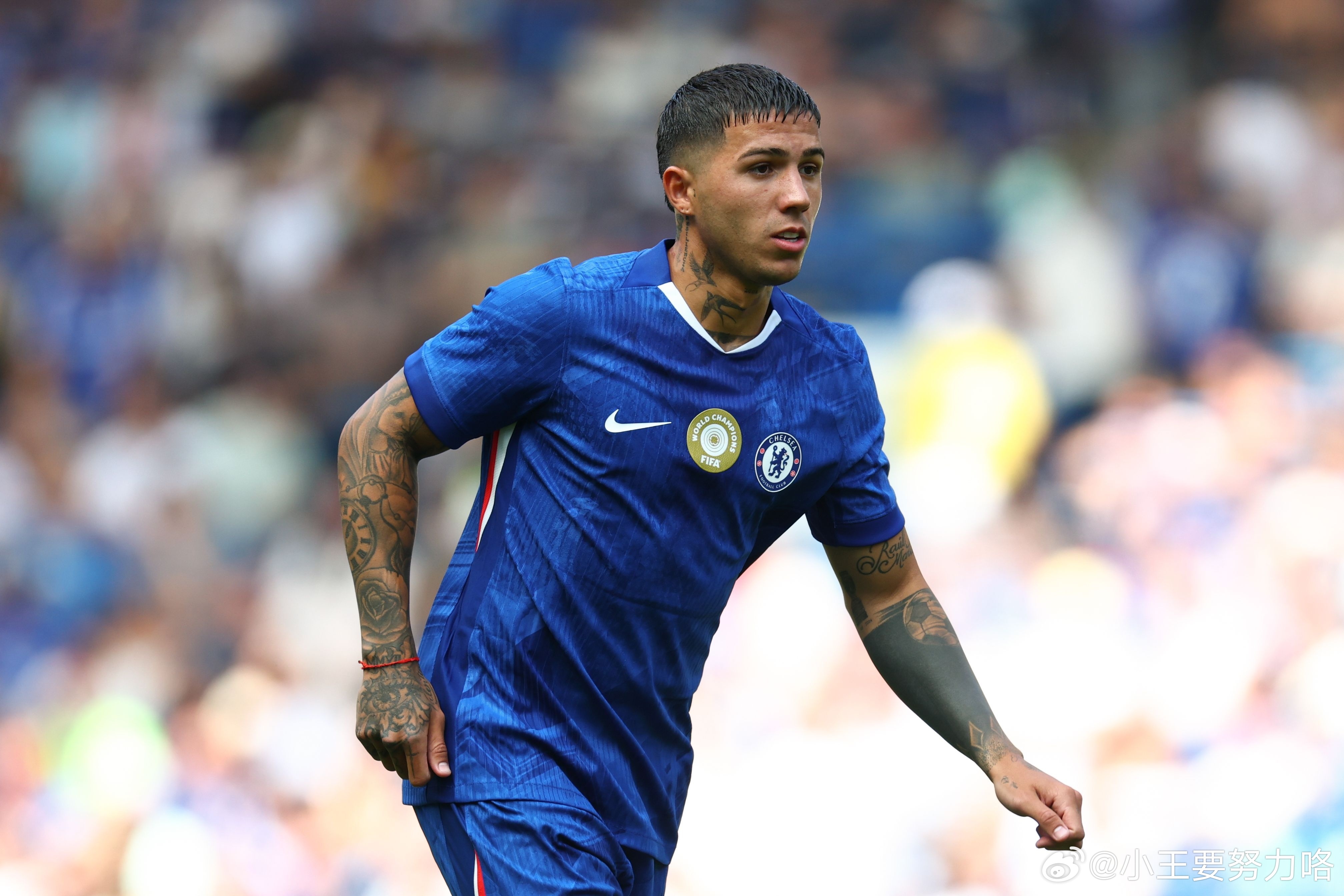 3年前1.21亿欧加盟蓝军！阿根廷跟队：恩佐有可能今夏离开切尔西3月16日阿根廷