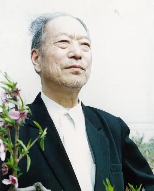 80年代，兰考的四个农民长途跋涉，去往新安监狱探监，在门口，监管人员问：“你们来