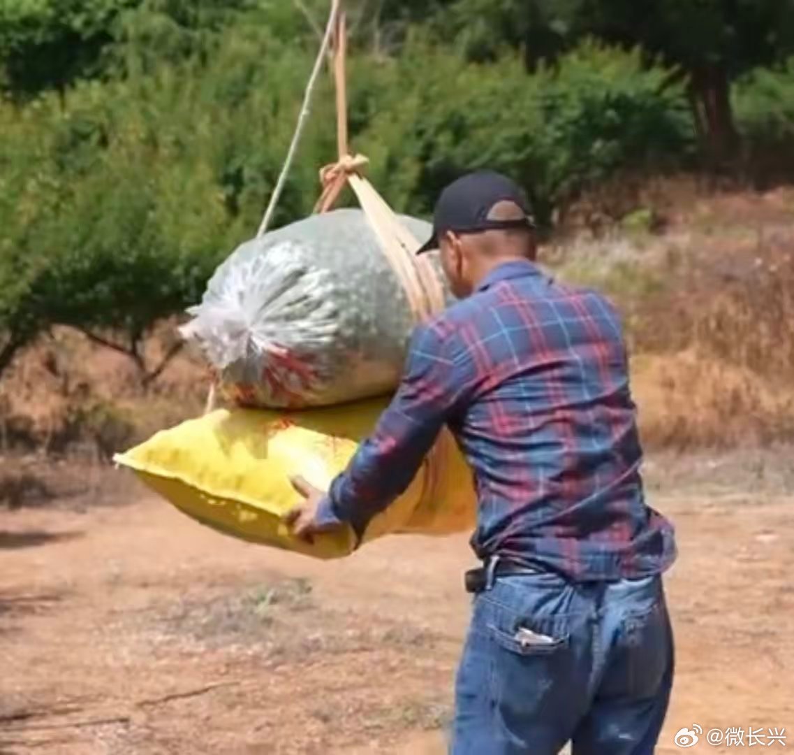 浙江无人机化身青梅空中速递员浙江百秒极速空运青梅下山 高科技助力农民生活生产，能