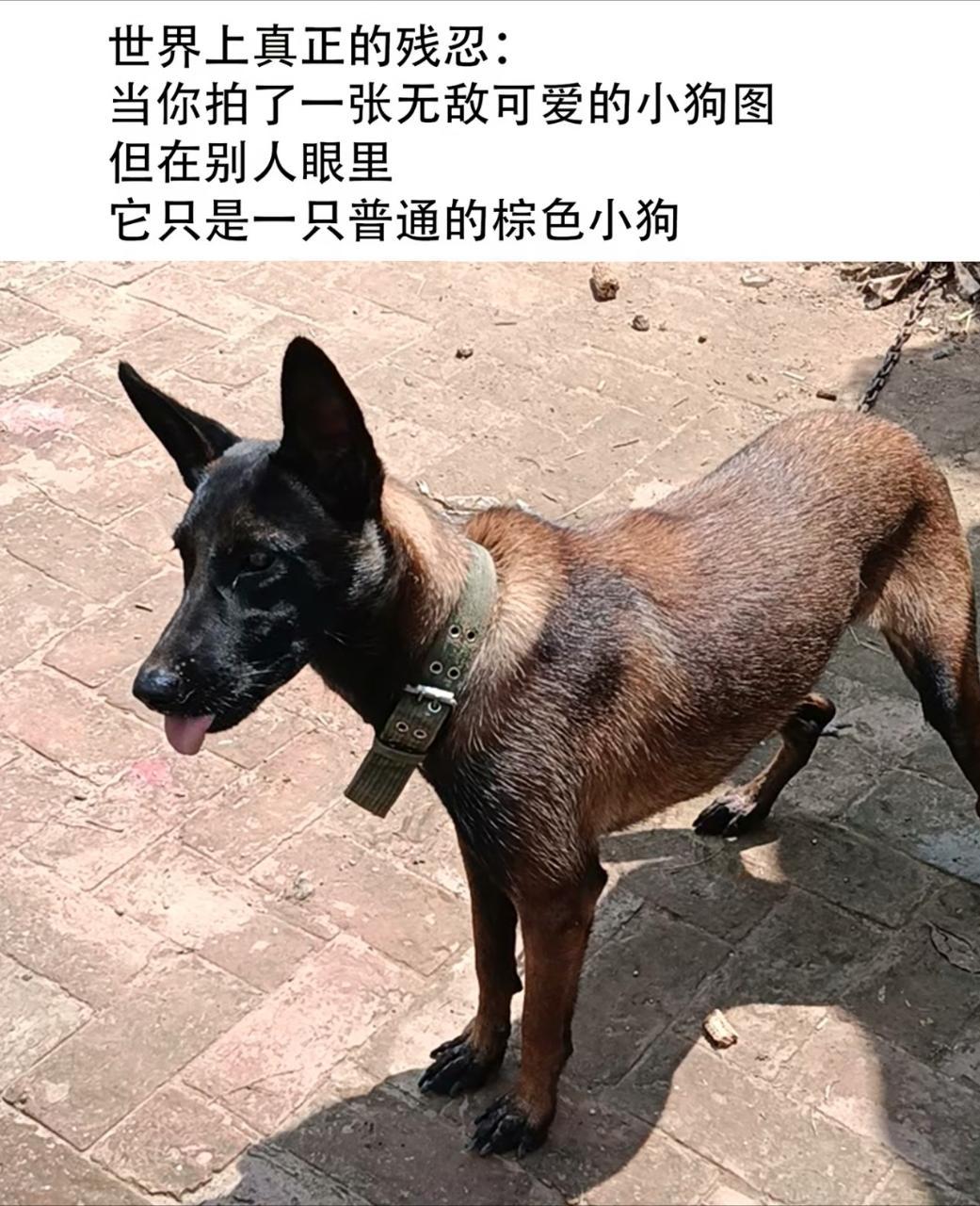 你们忍心么。 
