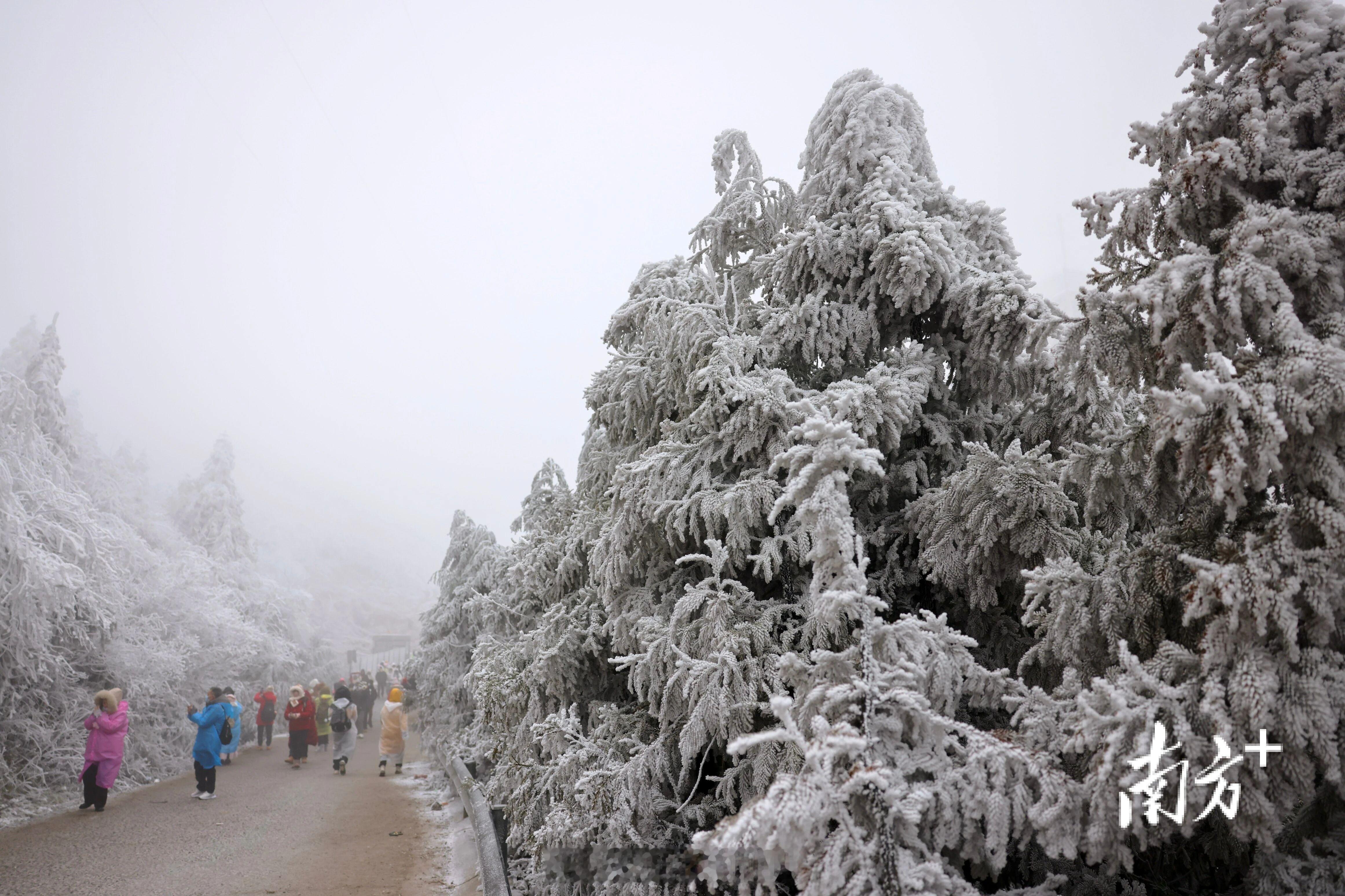 广东即将解冻今天还是10度以下，冷得很呢！ 