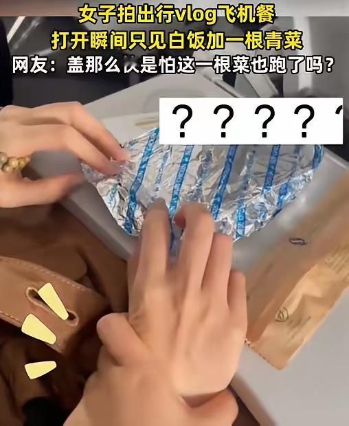 这起飞机餐乌龙事件引发了不少网友的热议，也让人思考大众对航班餐食的期待与实际体验