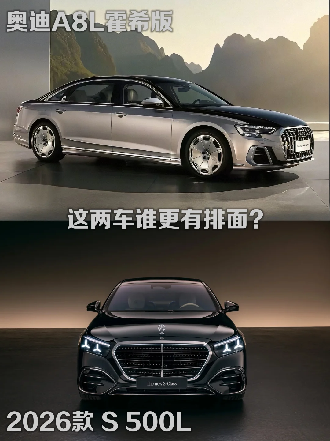 奥迪A8L霍希版和奔驰S500L，哪个更有排面？