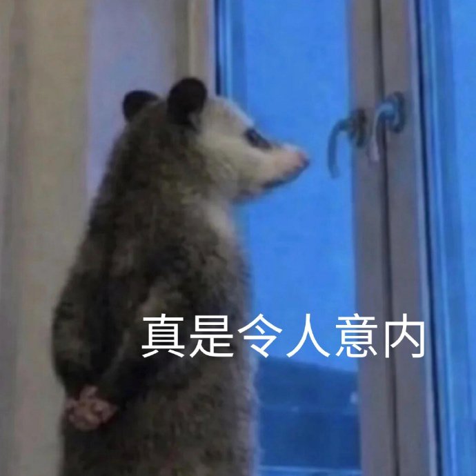这折腾的和大炼钢铁的时候搞的大食堂有啥区别？约等于脖子起个火疖子脑门以下全部截肢