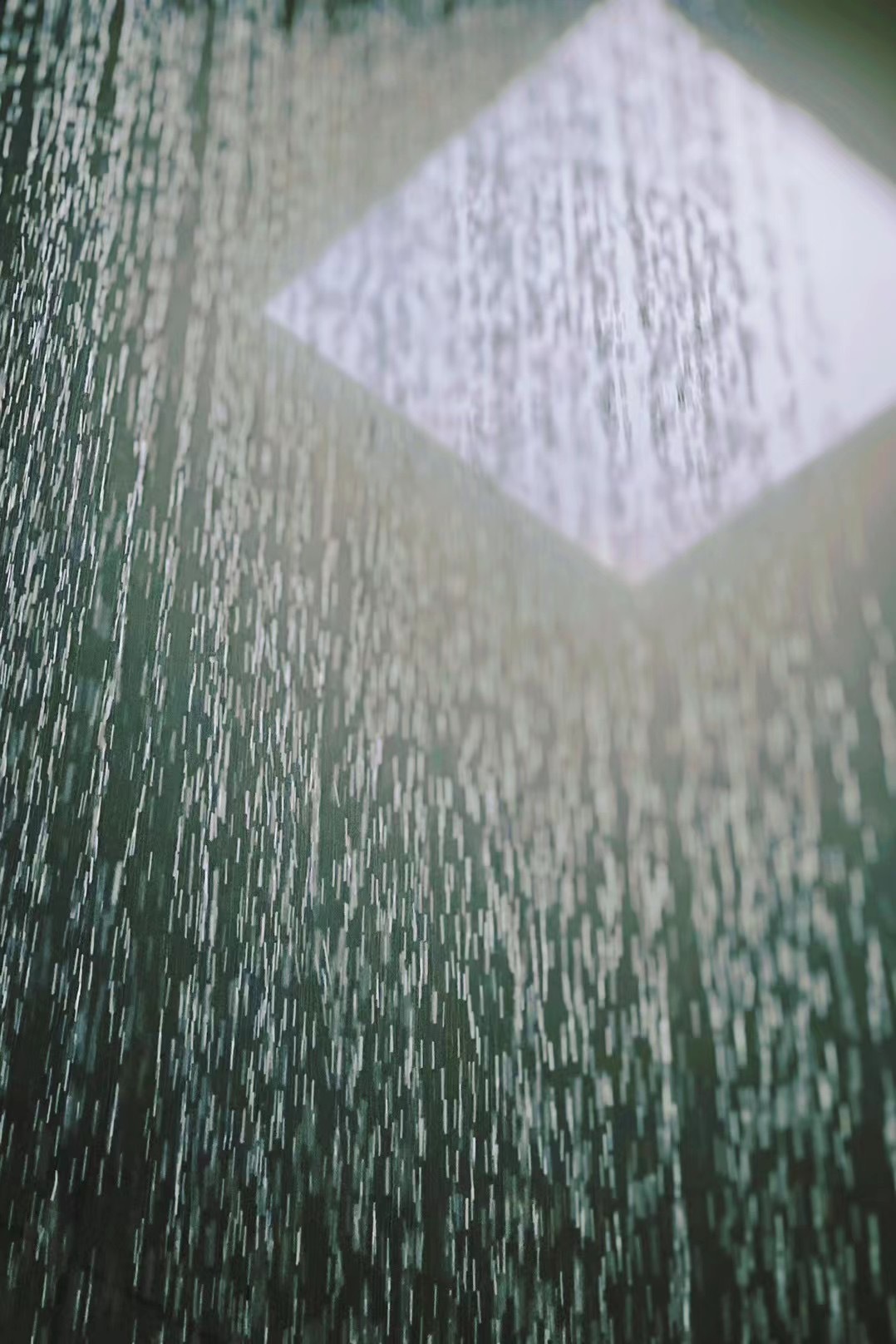 你简单，世界就是童话；你复杂，世界就是迷宫。——宫崎骏