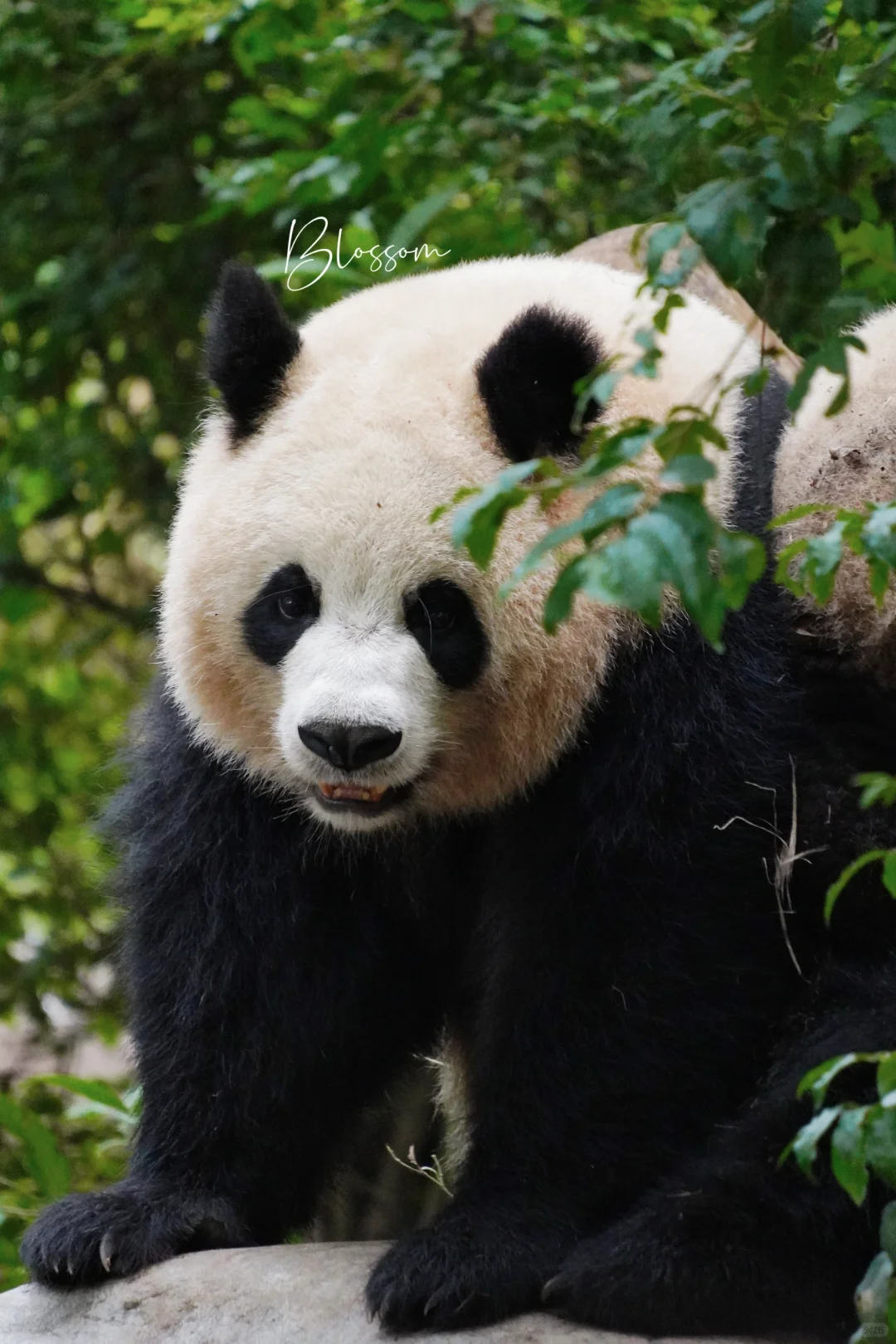 润润12岁生日快乐✨🎉