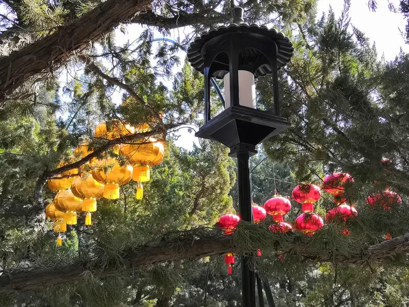 新年生活图鉴灯笼高高挂