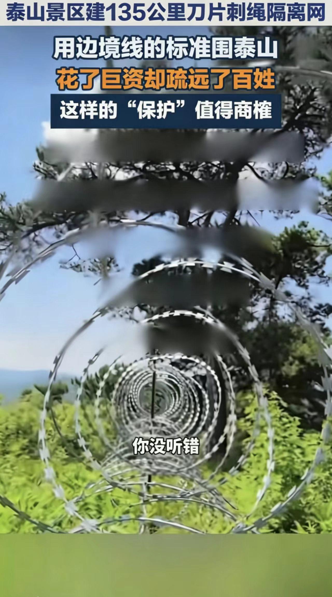 咱就说，泰山这回的操作，属实把“保护”俩字儿整出了新高度。135公里的刀片刺绳隔