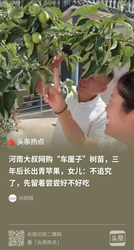 “气笑了！”河南，女子父亲3年前在网上买了3棵车厘子树苗，2026年结果了，女子