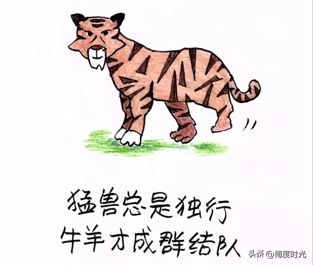 俗话说“猛兽总是独行，牛羊才成群结队”，这话虽被误传成鲁迅名言，其实是《春末闲谈