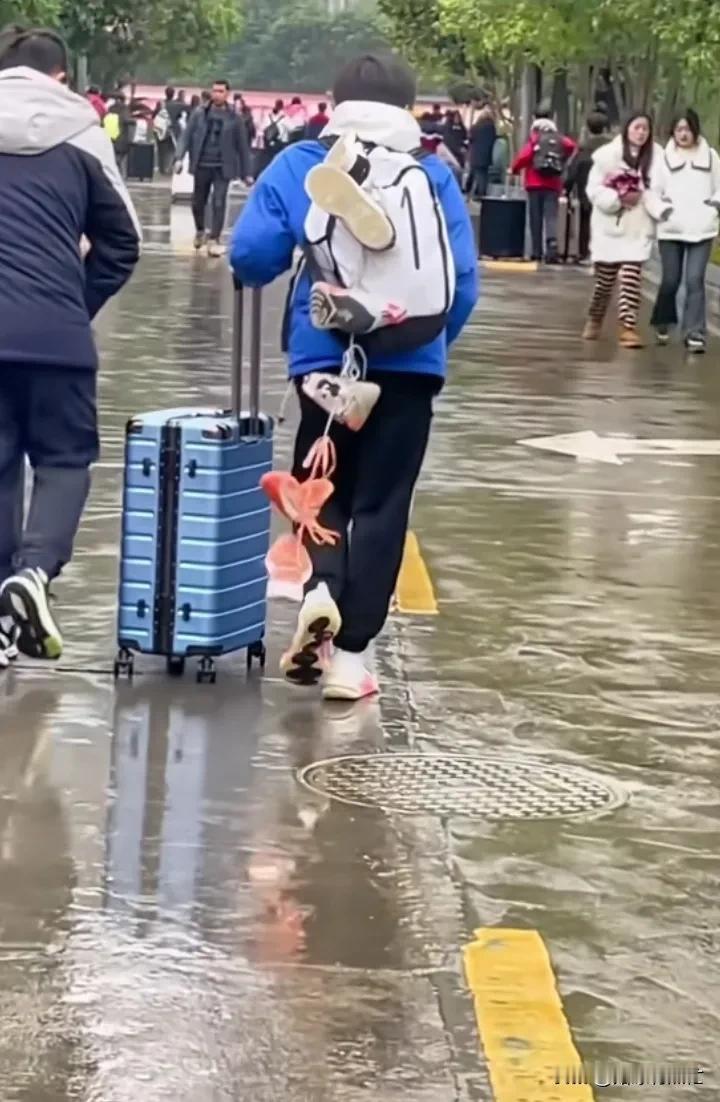 我认真的数了一下，为什么只有五只